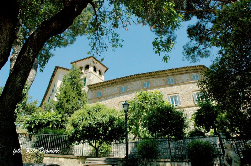immagine Palazzo Canova
